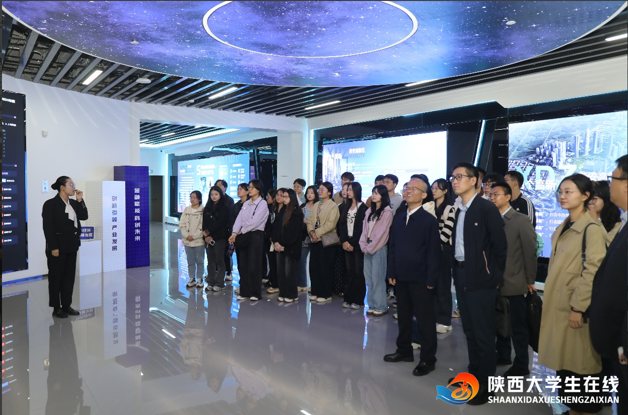 1760593596916271.png image.png